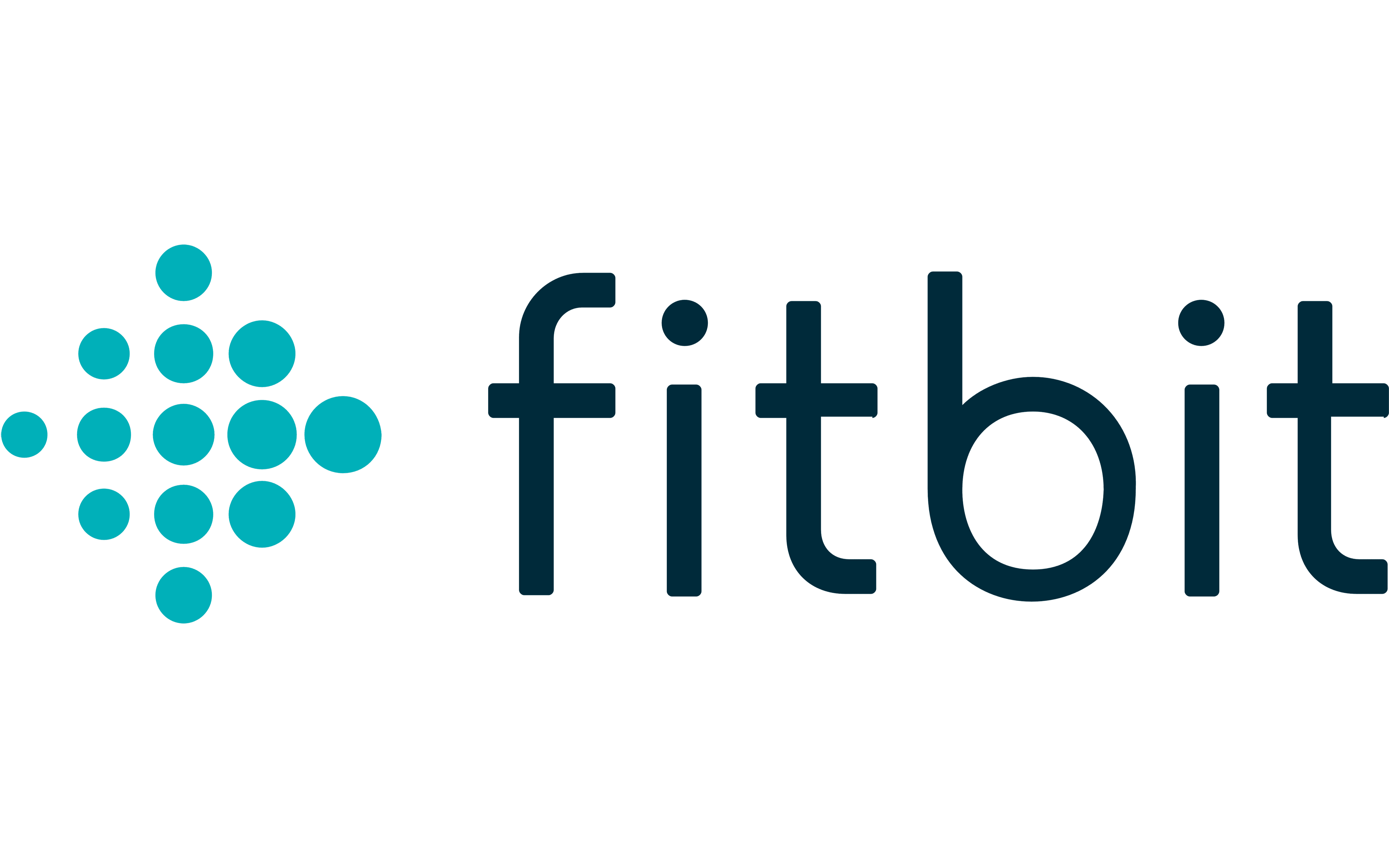 Fitbit Fitbit